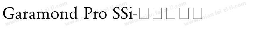 Garamond Pro SSi字体转换